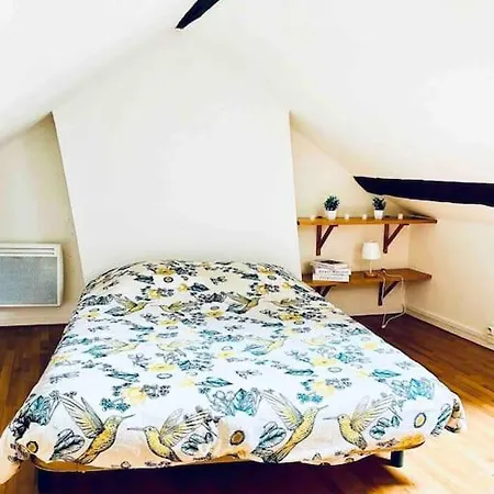 The King Duplex In The Enter Of * فونتانبلو